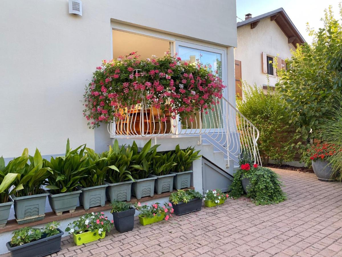 Appartement Le Jardin Lingolsheim Exterior foto