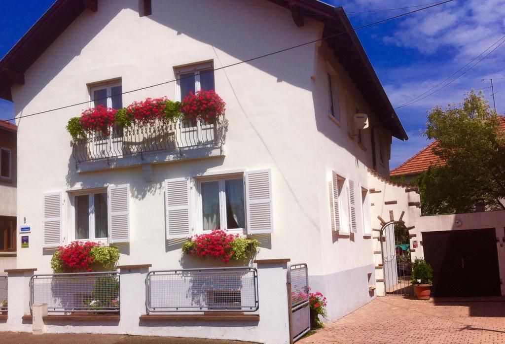 Appartement Le Jardin Lingolsheim Zimmer foto