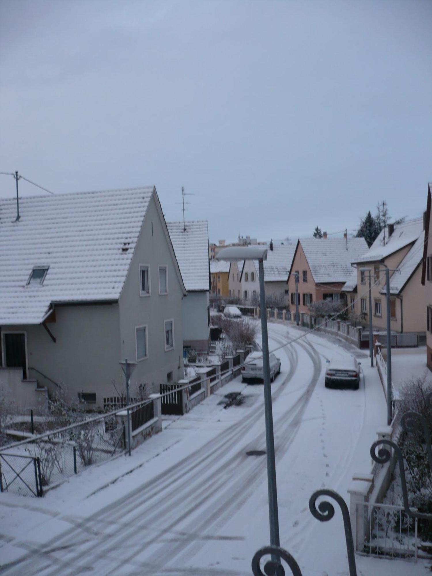 Appartement Le Jardin Lingolsheim Exterior foto